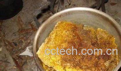 提取蜂蜡-0