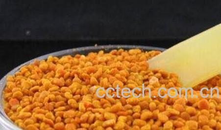 安吉白茶茶花粉-0