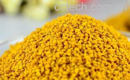 安吉白茶茶花粉-1