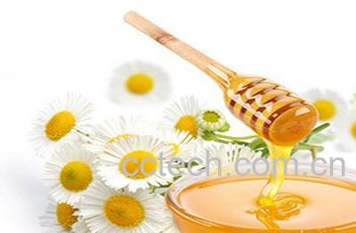 野菊花蜂蜜-0