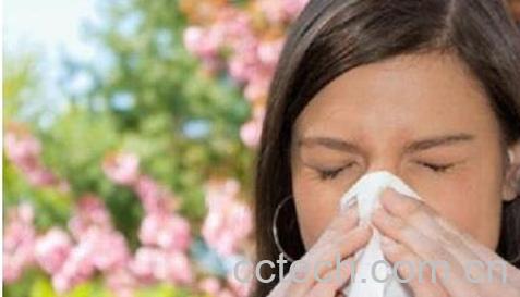 核桃花粉过敏-1