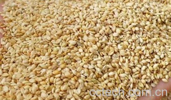 黍子枕头的功效与作用-0