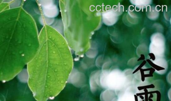 谷雨节气的由来和习俗-1