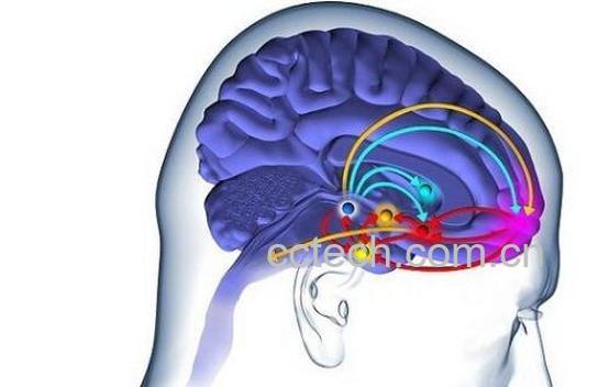 多巴胺的功效与作用-0