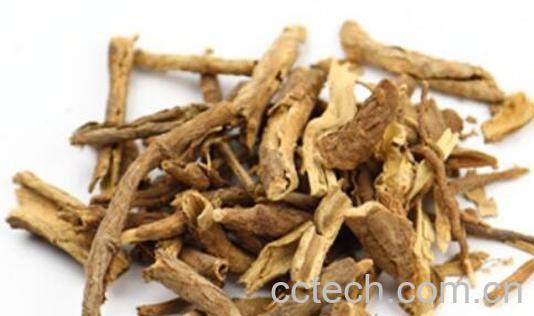 南五加皮和北五加皮的区别-0