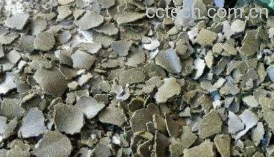 菜籽青饼与黄饼的本质区别-0