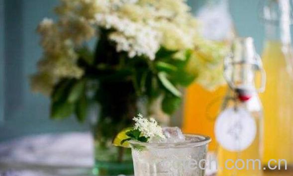 接骨木精油的功效与作用-1