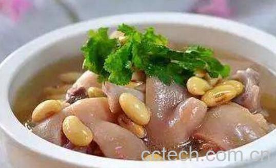 吃什么补充胶原蛋白 补充胶原蛋白的食疗方法-0