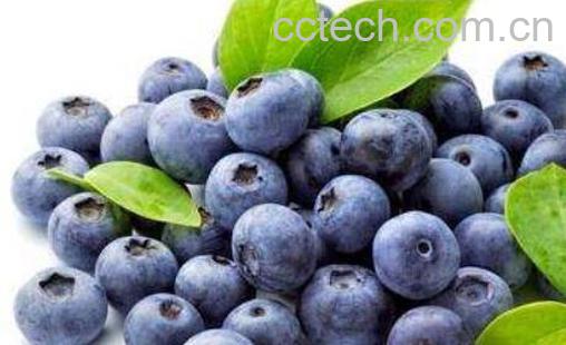 花青素的功效与作用 含花青素的食物有哪些-0