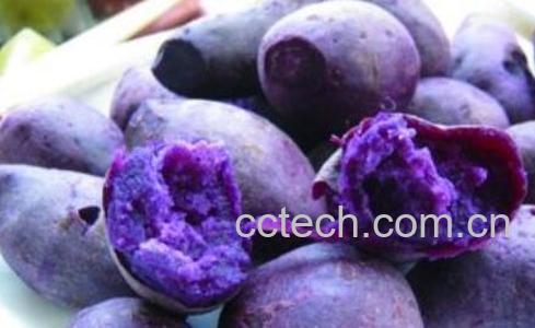 花青素的功效与作用 含花青素的食物有哪些-1