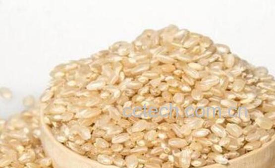 卡路里最低的食物排行-1