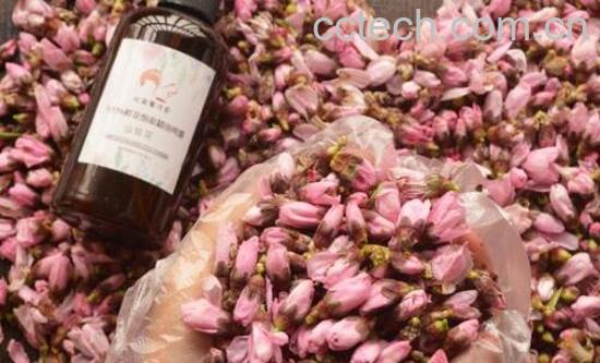 桃花精油的功效与作用	-0