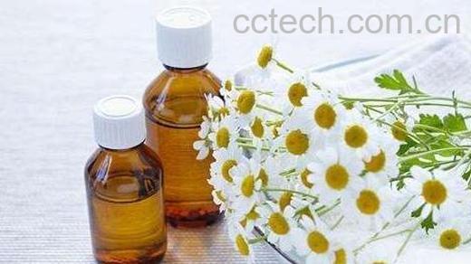 香桃花精油的功效和作用-1