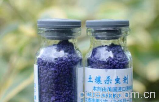 小紫药对人体的危害-1