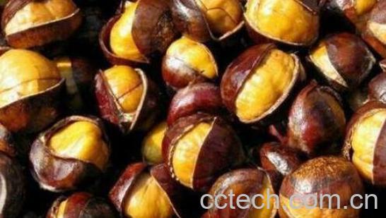 男人养肾最佳10食物 男人养肾吃什么好-0