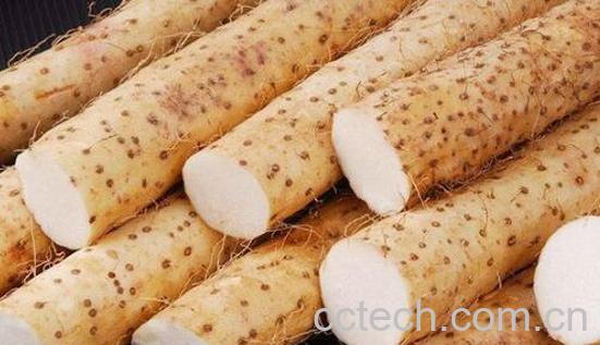 男人养肾最佳10食物 男人养肾吃什么好-1