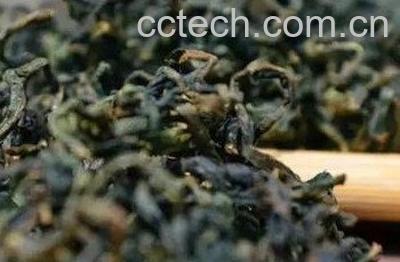 怎么自制蒲公英发酵茶-1