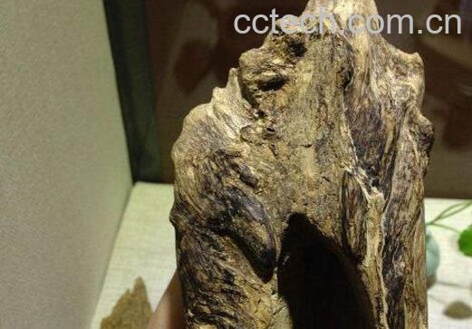 女性喝沉香水的好处-0