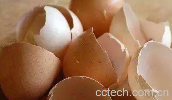 鸡蛋壳怎样去水垢 鸡蛋壳去水垢的原理-0