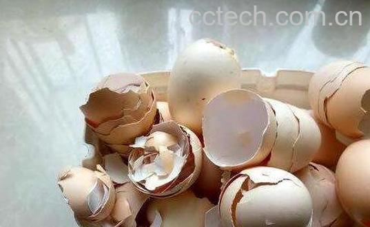 鸡蛋壳如何去除水壶的水垢-1