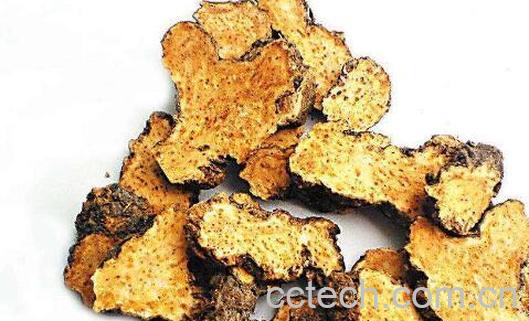 苍术精油的功效与作用-0