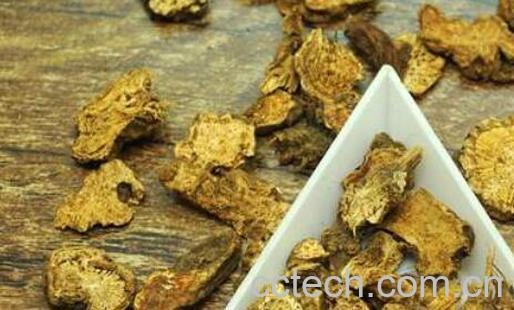 苍术精油的功效与作用-1