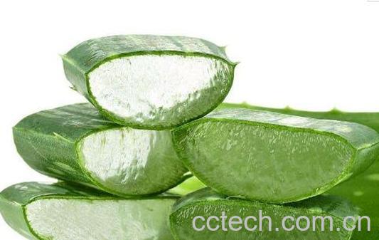 新鲜芦荟怎么做面膜-0
