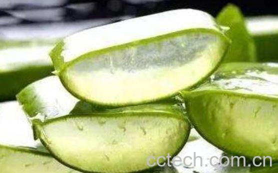 新鲜芦荟怎么做面膜-1