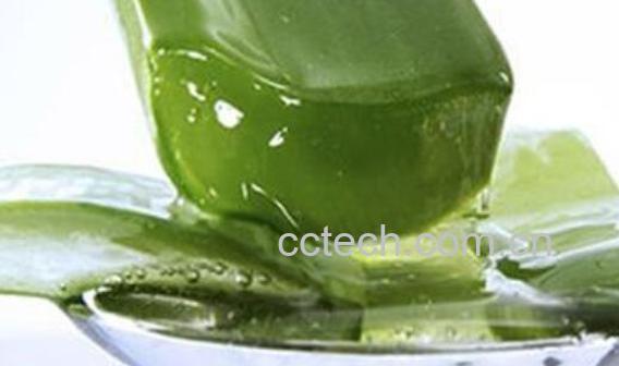 如何用鲜芦荟做面膜-1