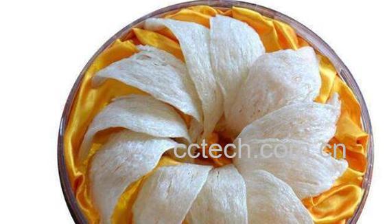 金丝燕窝和白燕窝哪个好 吃金丝燕窝的好处-0