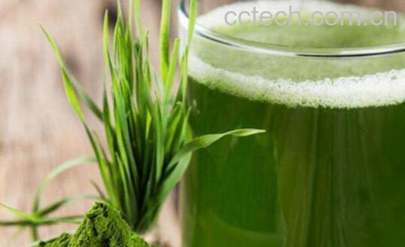 蚂蚁青汁的功效与作用-1