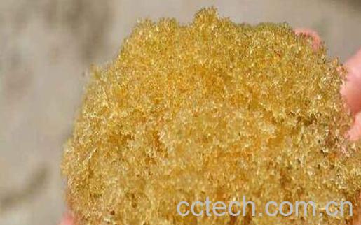 什么是竹燕窝 竹燕窝的功效与作用-0