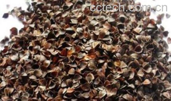 荞麦皮怎么清洗-0