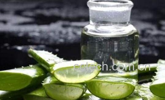 新鲜芦荟怎么做成汁 芦荟汁的制作方法-0
