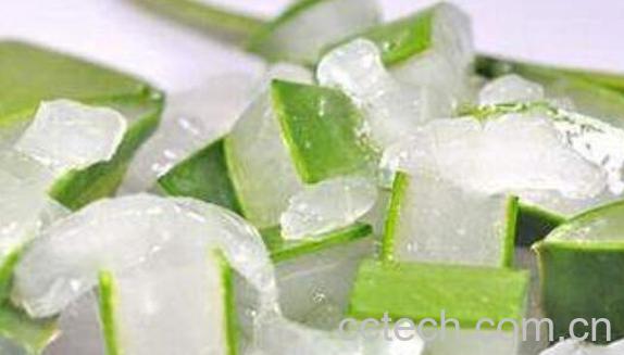 芦荟灌肤的详细流程 芦荟灌肤对皮肤的伤害-0