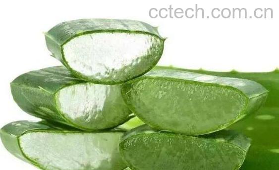 长期抹芦荟胶对脸好吗 芦荟胶用久了脸会变黑是真的吗-1