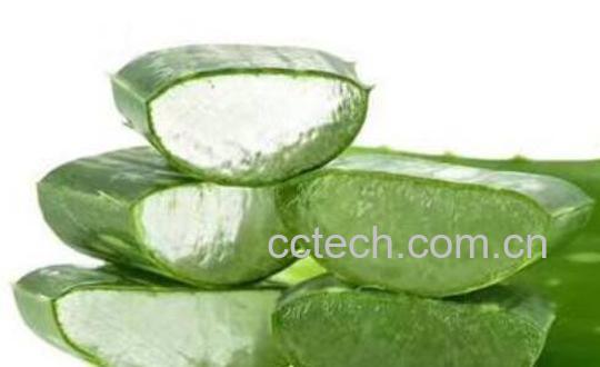 芦荟胶祛痘的正确用法-0