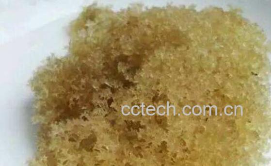 竹燕窝怎么清洗 竹燕窝的清洗方法技巧-1