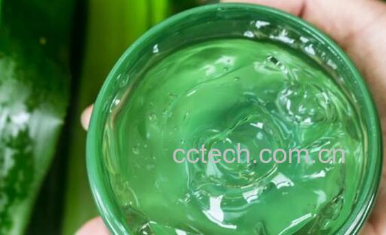 如何制作芦荟胶 芦荟胶怎么做-1