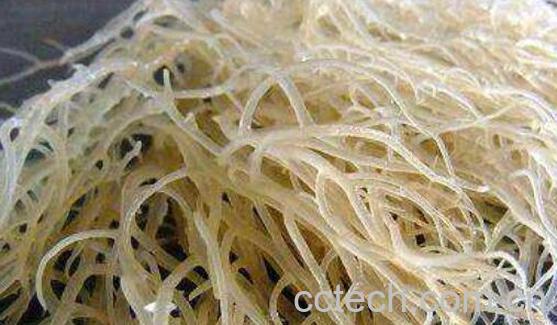 海燕窝的功效与作用-1