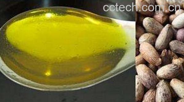 青刺果油擦脸的功效与作用-1