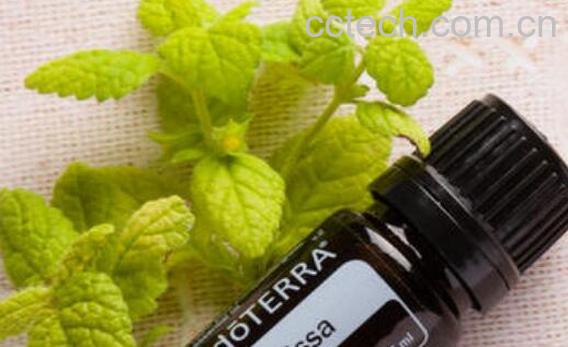 香蜂草精油的功效与使用方法-1