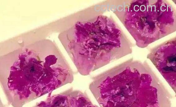 怎样自制新鲜玫瑰花水 玫瑰水的用法-0