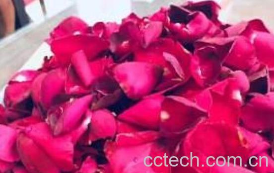 玫瑰水敷脸的功效与作用-1