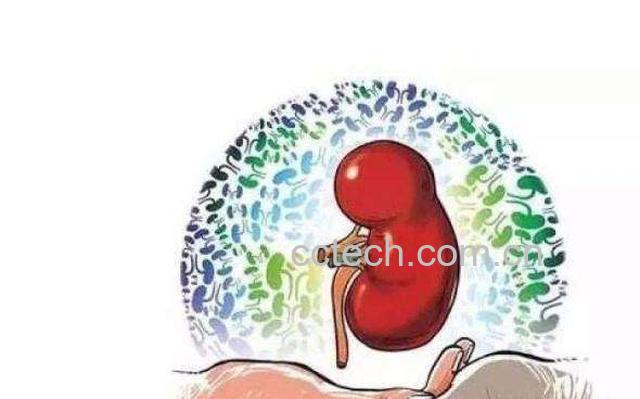 男人养肾最佳10食物-1