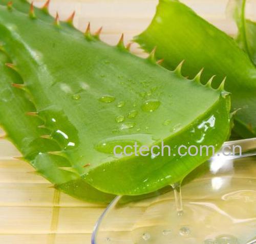 芦荟胶-0