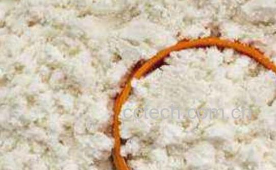 吃蛋白质粉有什么好处和坏处-1