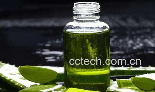 芦荟精油的功效与作用-0