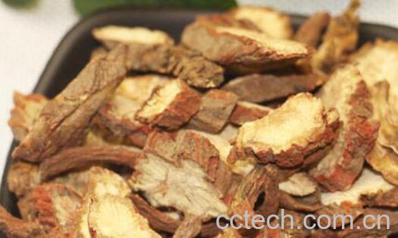 雪参软膏的功效与作用-1