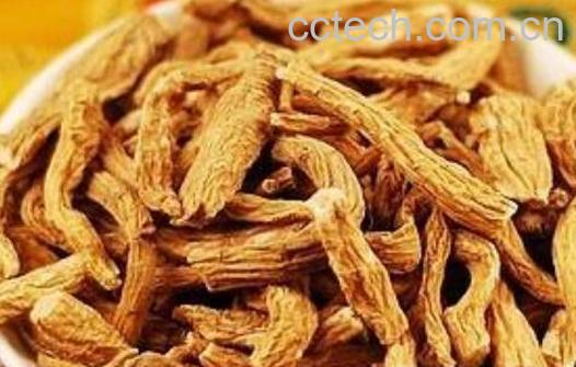 雪参膏的作用及禁忌-0